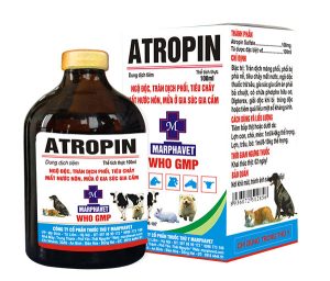 ATROPIN Thuốc kháng acetyl cholin (ức chế đối giao cảm) (1)