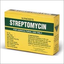 STREPTOMYCINE thuốc kháng sinh (1)