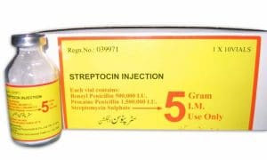 STREPTOMYCINE thuốc kháng sinh (2)