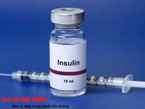 INSULIN - Hormon chống đái tháo đường (2)