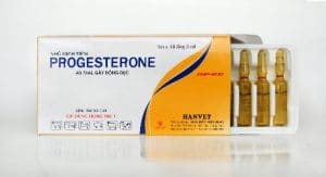 PROGESTERONE - Hormon progestin (1)