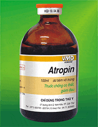 ATROPIN Thuốc kháng acetyl cholin (ức chế đối giao cảm) (1)