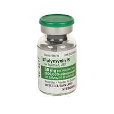 POLYMYXIN B thuốc Kháng sinh (2)